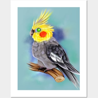 Cockatiel on branch Posters and Art